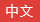 中文
